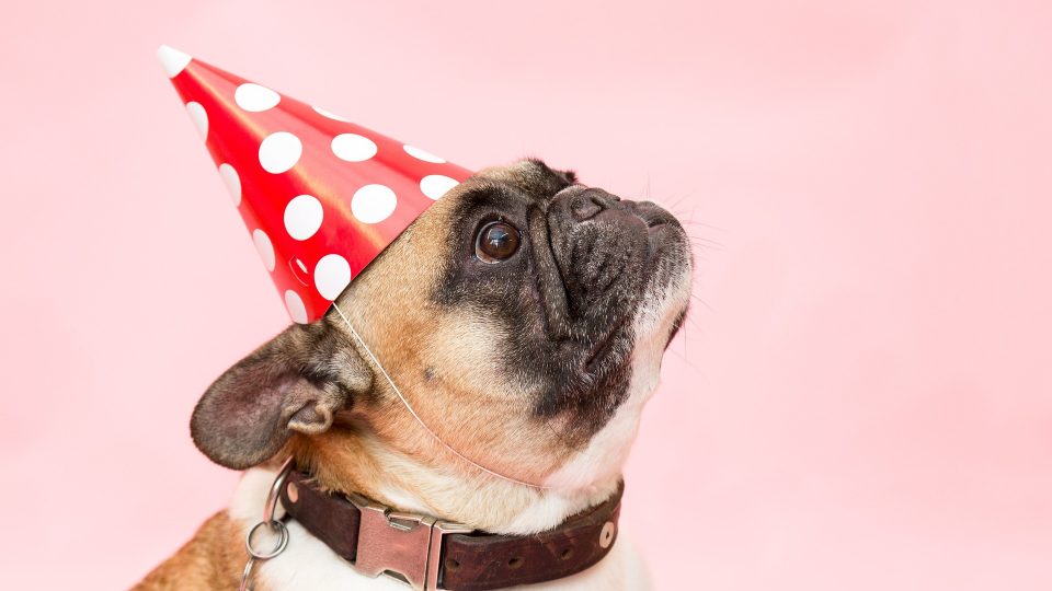 Polkadot hat